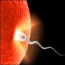 Progress in the Management of Infertility