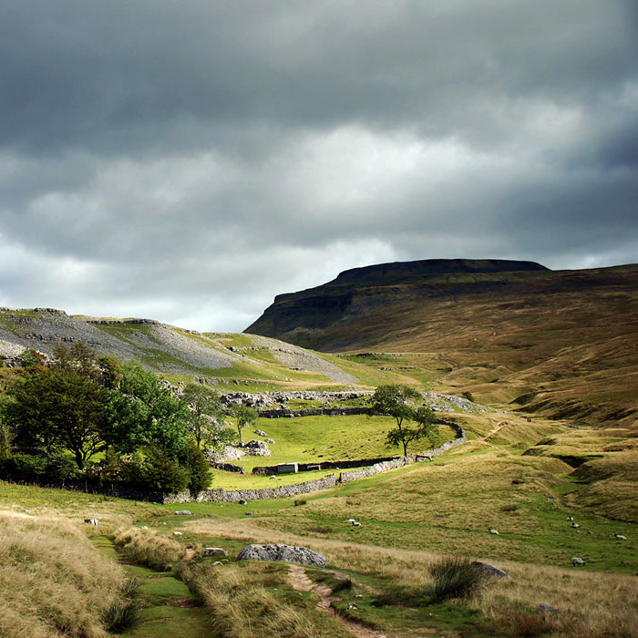 The Yorkshire Dales