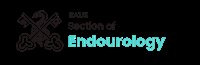 BAUS Endourology Meeting 2025