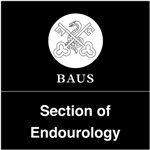 Section of Endourology - Retiring Chair's Newsletter