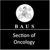 BAUS Section of Oncology Meeting 2014 (London)
