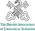 BAUS Data and Audit Publications